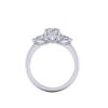 peta - engagement ring with platinum metal and round shape diamond peta - engagement ring with platinum metal and round shape diamond